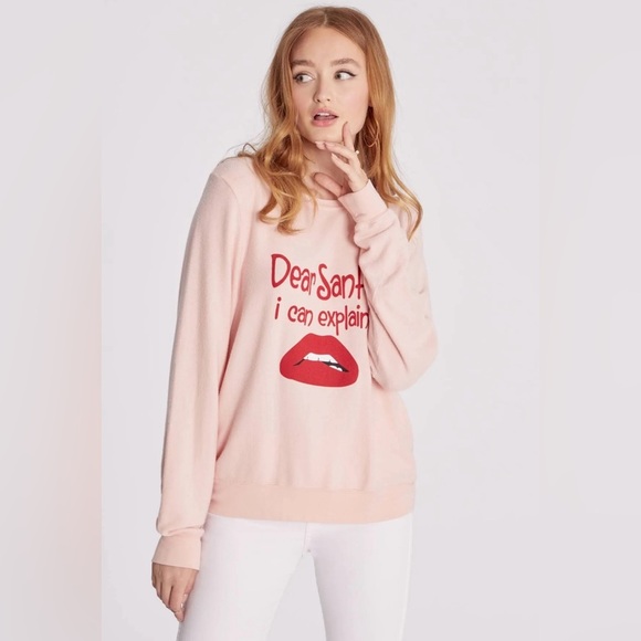 NWT Wildfox Christmas Dear Santa I Can Explain Baggy Beach Jumper Small Graphic - Picture 2 of 5